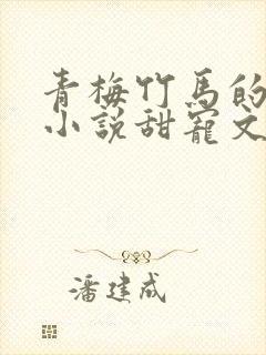 青梅竹马的言情小说甜宠文