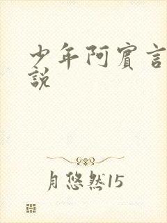 少年阿宾言情小说