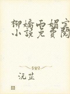 柳娇雨媚完结版小说免费阅读封面