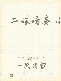 二嫁娇妾 小说