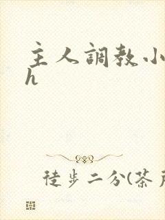 主人调教小说高h