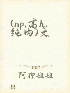 (np,高h,纯肉)文