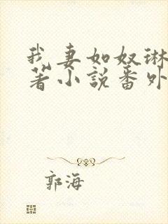 我妻如奴琳涛原著小说番外