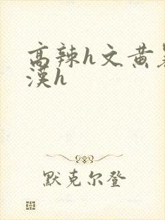 高辣h文黄暴糙汉h