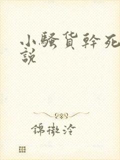 小骚货干死你小说