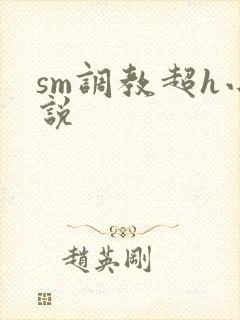 sm调教超h小说