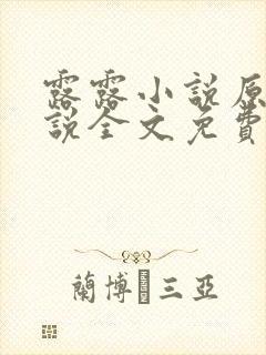 露露小说原著小说全文免费阅读封面