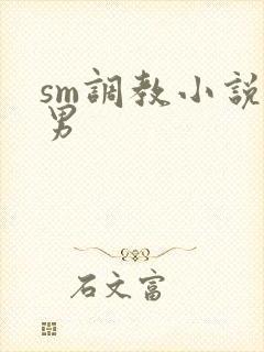 sm调教小说男男