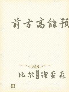 前方高能预警封面