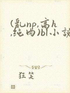 (乱np,高h,纯肉)bl小说