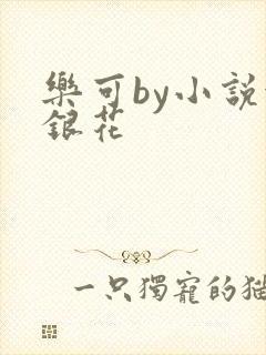 乐可by小说金银花