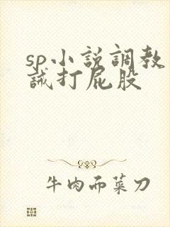 sp小说调教训诫打屁股