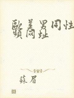 欧美男同性恋视频网址