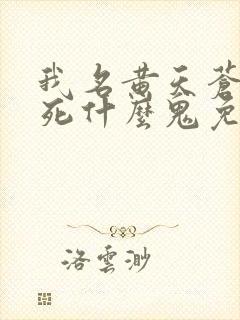 我名黄天苍天已死什么鬼免费