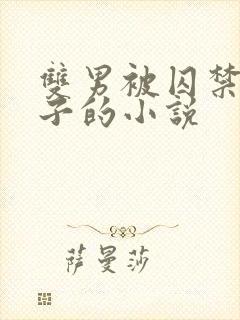 双男被囚禁还生子的小说