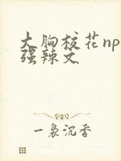 大胸校花np被强辣文