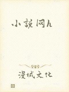 小说网h
