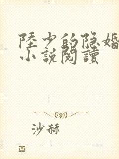 陆少的隐婚罪妻小说阅读