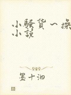 小骚货～操死你小说