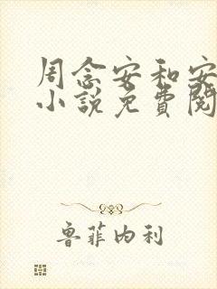 周念安和安好的小说免费阅读