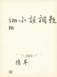 sm小说调教女m
