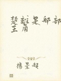 楚离是哪部小说主角