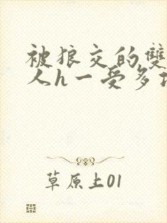 被狼交的双性美人h一受多攻文