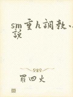 sm重h调教小说