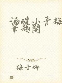 酒酿小青梅po笔趣阁