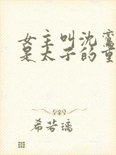 女主叫沈鸾男主是太子的重生小说