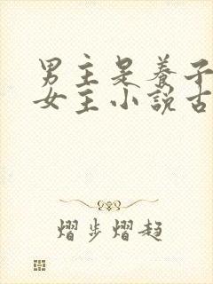 男主是养子爱上女主小说古言