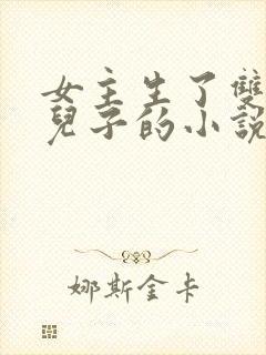 女主生了双胞胎儿子的小说