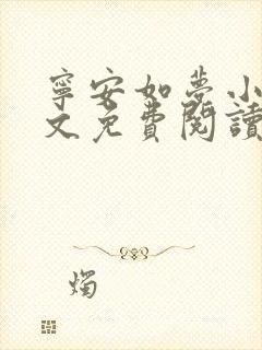 宁安如梦小说全文免费阅读无弹窗