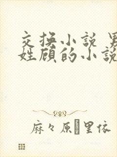 交换小说 男主姓顾的小说