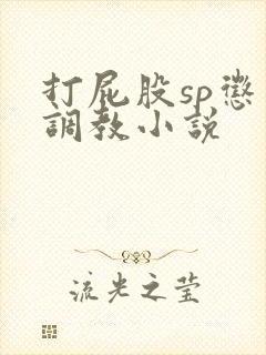 打屁股sp惩罚调教小说