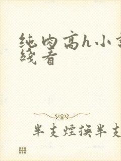纯肉高h小说在线看