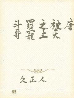 斗罗之被唐三哥哥宠上天封面