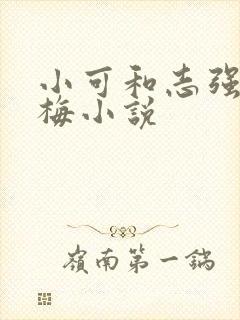 小可和志强,阿梅小说