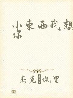 小东西我想弄坏你封面