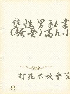 双性男秘书巨乳(骚受)高h小说