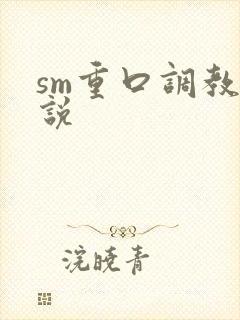 sm重口调教小说