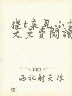 提t来见小说全文免费阅读笔趣阁封面