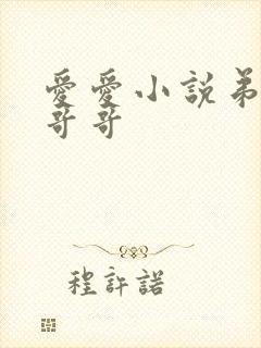 爱爱小说弟弟日哥哥