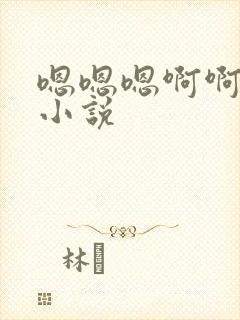 嗯嗯嗯啊啊轻点小说