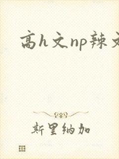 高h文np辣文