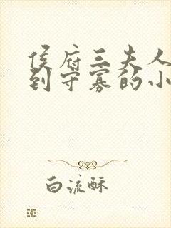 侯府三夫人重生到守寡的小说