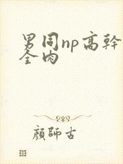 男同np高干文全肉封面