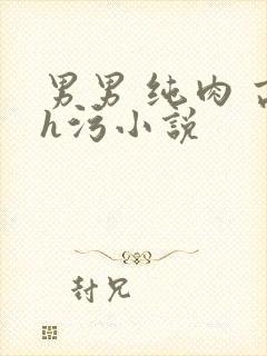 男男 纯肉 高h污小说