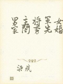 男主将军女主大家闺秀先婚后爱古言封面