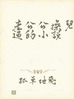 老公公操儿媳妇逼的小说